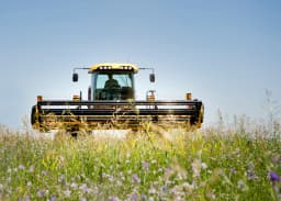 feed_bedding_alfalfa_grass.webp