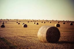 feed_bedding_other_hay.webp